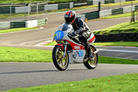 Lower Group White Bikes